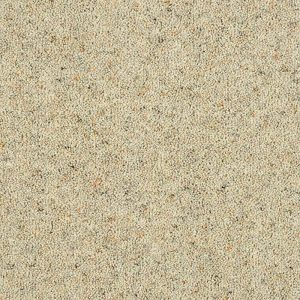 Abingdon Charter Berber Deluxe Carpet - Image 8