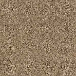 Abingdon Royal Charter Deluxe Carpet - Image 18