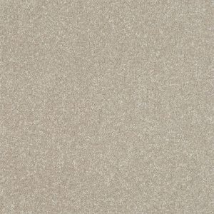 Abingdon Stainfree Ultra Carpet - Image 14
