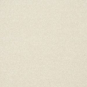 Abingdon Stainfree Twist Carpet - Image 2