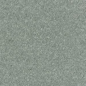 Abingdon Stainfree Sophisticat Carpet - Image 13