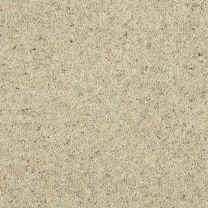 Abingdon Charter Berber Deluxe Carpet - Image 11
