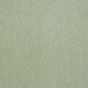 Abingdon Pure Elegance Carpet - Image 13