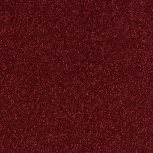 Abingdon Stainfree Sophisticat Carpet - Image 12