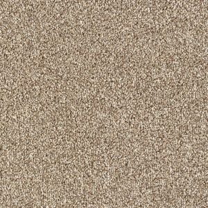 Abingdon Rustique Saxony Carpet - Image 11