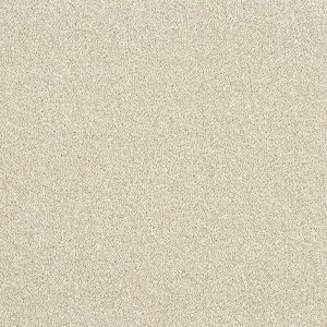 Abingdon Rustique Twist Carpet - Image 6