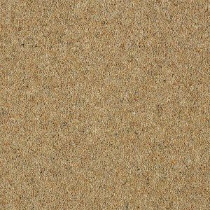 Abingdon Charter Berber Deluxe Carpet - Image 13