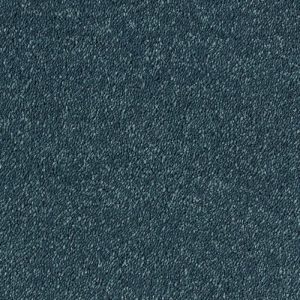 Abingdon Stainfree Sophisticat Carpet - Image 11