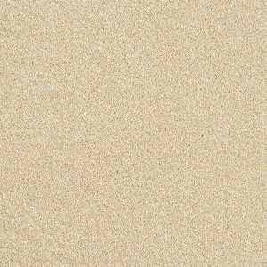 Abingdon Rustique Twist Carpet - Image 5