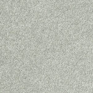 Abingdon Stainfree Sophisticat Carpet - Image 9