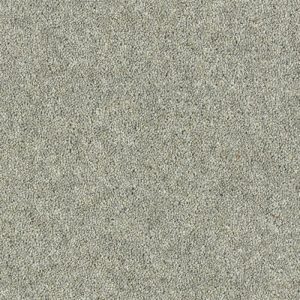 Abingdon Royal Charter Deluxe Carpet - Image 9