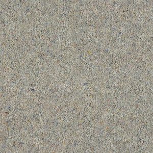 Abingdon Charter Berber Deluxe Carpet - Image 15