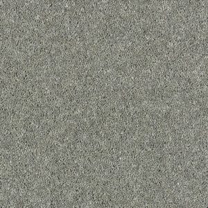 Abingdon Royal Charter Deluxe Carpet - Image 8