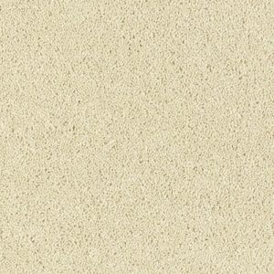 Abingdon Royal Charter Deluxe Carpet - Image 7