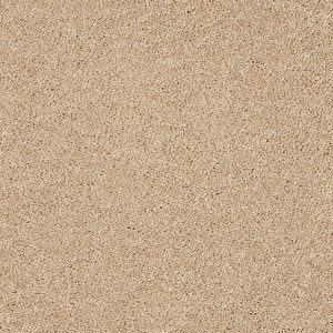 Abingdon Velvet Dreams Carpet - Image 8