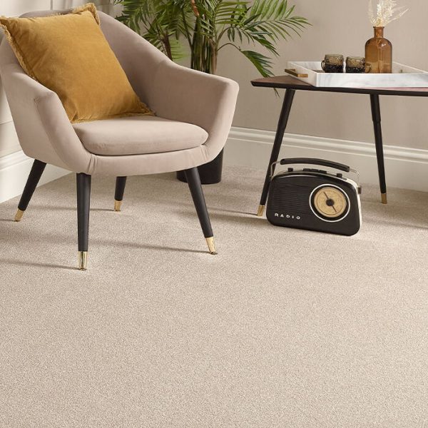 Stainfree Maximus Maximus carpet by Abingdon, stainfree and durable for busy homes, available at Carpet Outlet.