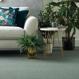 Stainfree Twist carpet by Abingdon, durable stainfree twist pile, available at Carpet Outlet.