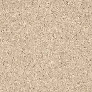 Abingdon Velvet Dreams Carpet - Image 7