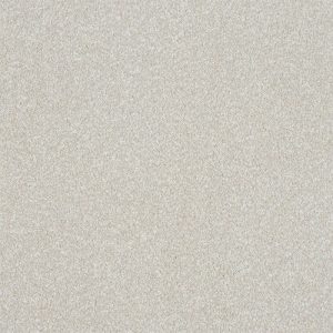 Abingdon Stainfree Ultra Carpet - Image 9