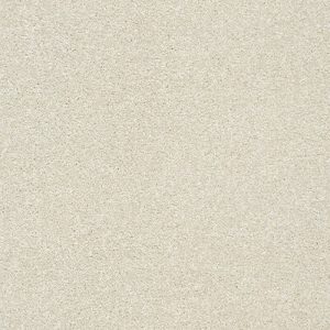 Abingdon Stainfree Twist Carpet - Image 17