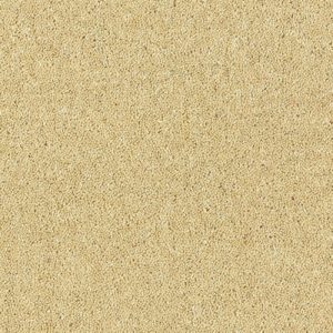 Abingdon Royal Charter Deluxe Carpet - Image 6