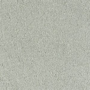 Abingdon Stainfree Sophisticat Carpet - Image 8