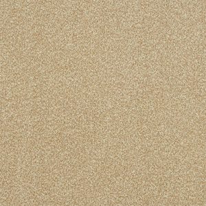 Abingdon Stainfree Ultra Carpet - Image 7