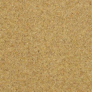 Abingdon Charter Berber Deluxe Carpet - Image 17