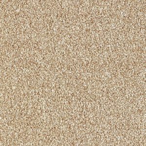 Abingdon Rustique Saxony Carpet - Image 14