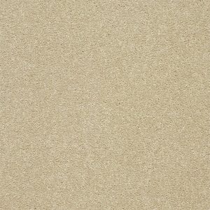 Abingdon Stainfree Twist Carpet - Image 16