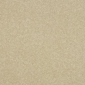 Abingdon Maximus Carpet - Image 7