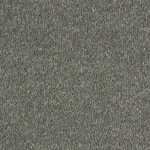 Abingdon Stainfree Sophisticat Carpet - Image 7