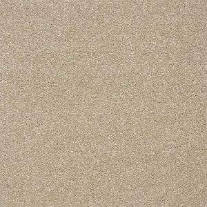 Abingdon Stainfree Twist Carpet - Image 15