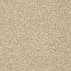 Abingdon Stainfree Twist Carpet - Image 14