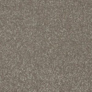 Abingdon Stainfree Twist Carpet - Image 13