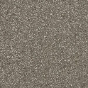 Abingdon Maximus Carpet - Image 9