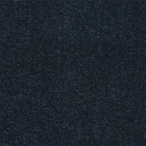 Abingdon Stainfree Ultra Carpet - Image 6