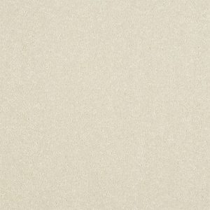 Abingdon Stainfree Ultra Carpet - Image 5